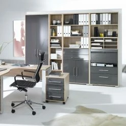 Holztüren - grau Hochglanz - 2-türig - 67,4 cm -Günstiges Büro Geschäft 0432011200 03 1600Wx1600H