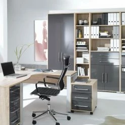 Holztüren - grau Hochglanz - mit Schloss - 207 cm -Günstiges Büro Geschäft 0432011400 03 1600Wx1600H