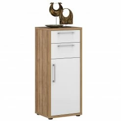 Aktenschrank - Riviera Eiche - weiß Hochglanz - 113 cm hoch -Günstiges Büro Geschäft 0432015200 03 1600Wx1600H