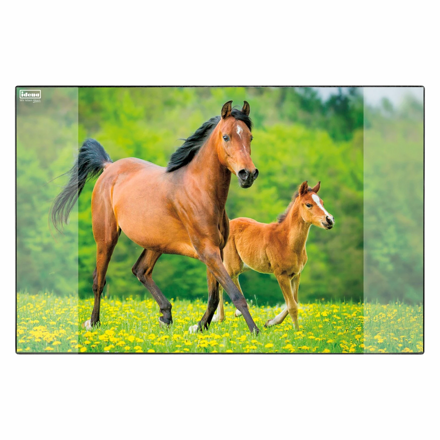 Schreibunterlage - Pferd - 59x39 cm 3 Schreibunterlage - Pferd - 59x39 cm