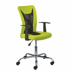 Kinderstuhl DONNY - grün - höhenverstellbar